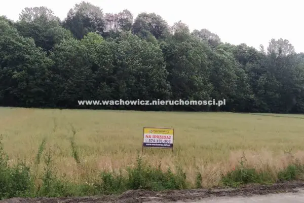 Dzialka na sprzedaz Wierzchowisko Wolbrom WACHOWICZ NIERUCHOMOSCI 3