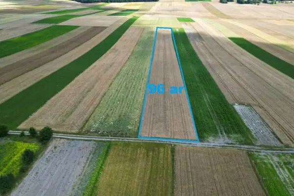 Pole w Trzonowie na sprzedaż, działka rolna Trzonów