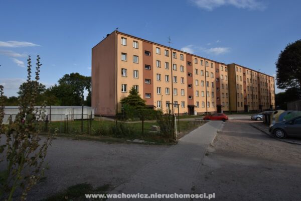 Mieszkanie w Miechowie do wynajęcia