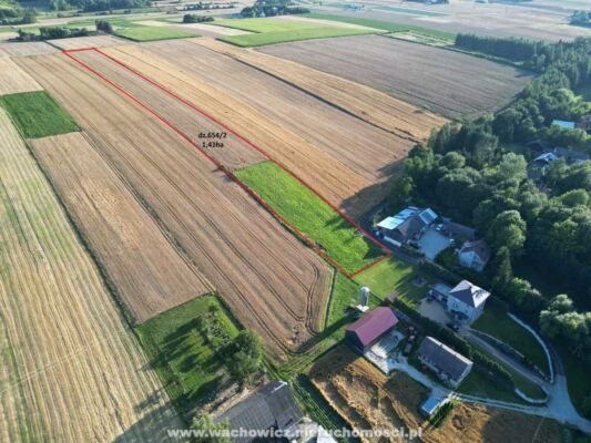 Działka rolna Rzeżuśnia gmina Gołcza