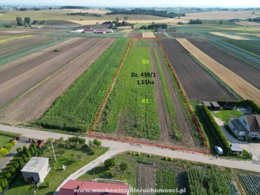 Działka w Posądzy
